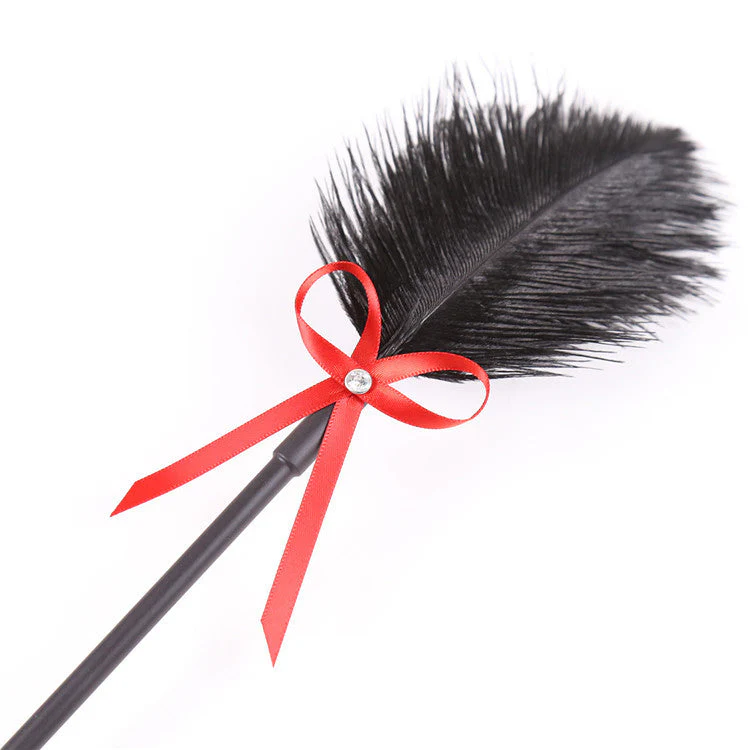 2-in-1 Feather Tickler & Spanking Paddle - Image 2